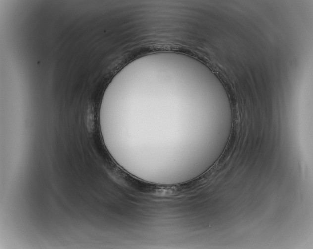 X0000116890080200912221012