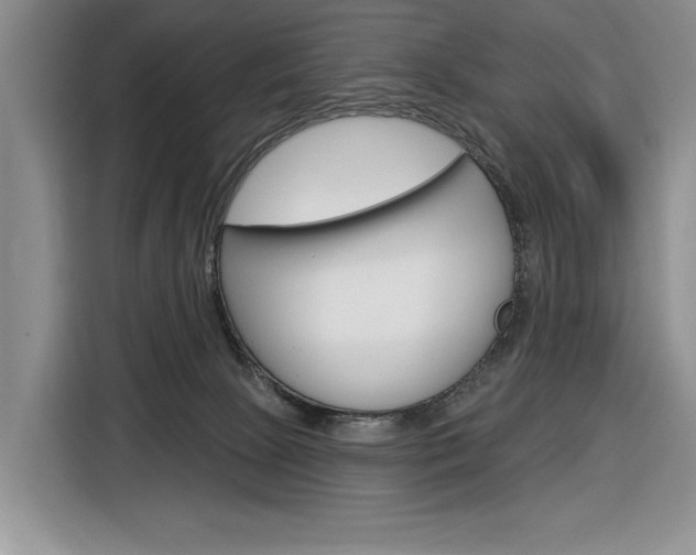 X0000116890081200912221013