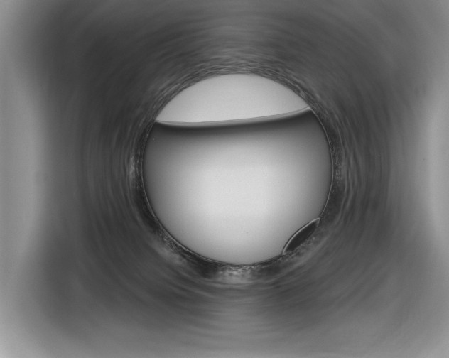 X0000116890084200912221013
