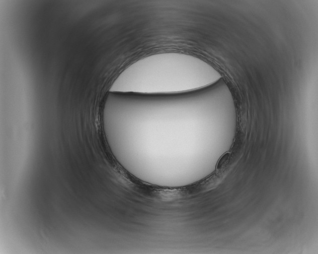 X0000116890085200912221013