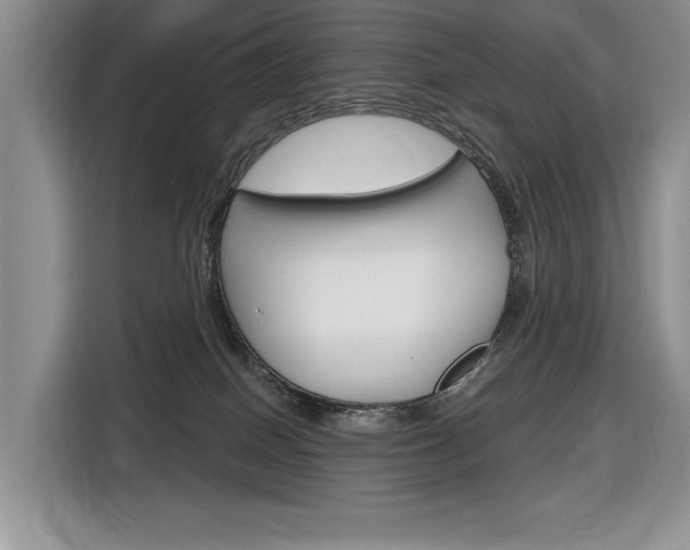 X0000116890086200912221013