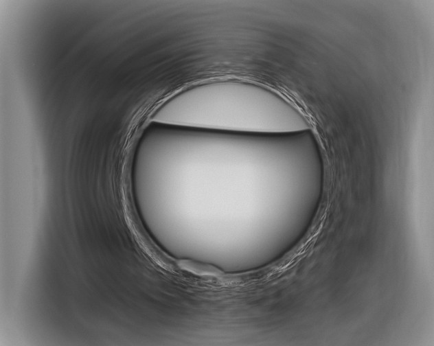 X0000116890097200912221012