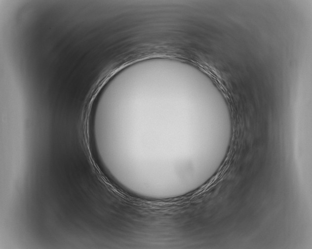 X0000116890098200912221012