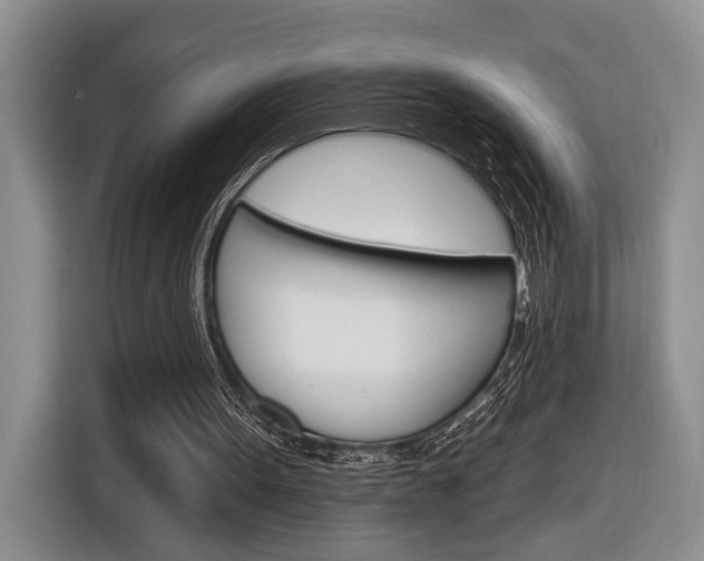 X0000116890099200912221012