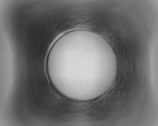 X0000116890100200912221012