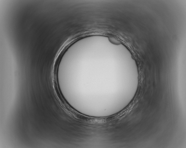 X0000116890102200912221012