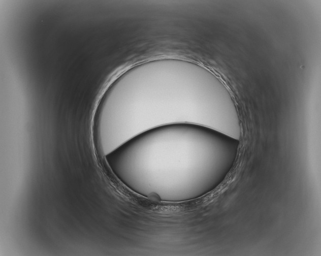 X0000116890104200912221012