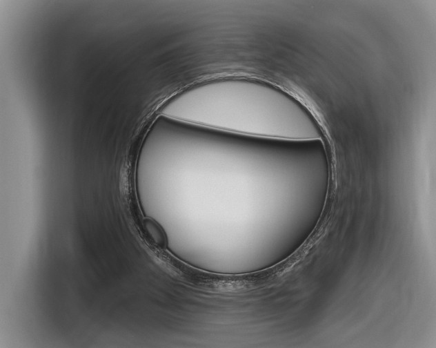 X0000116890105200912221012