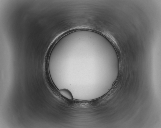 X0000116890108200912221012
