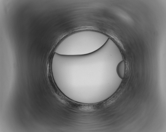 X0000116890110200912221012