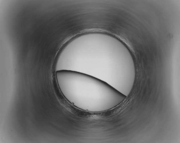 X0000116890111200912221012