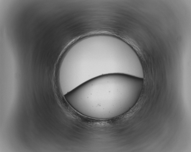 X0000116890112200912221012