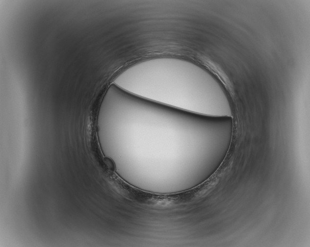 X0000116890113200912221012