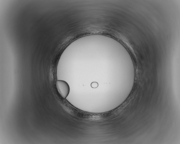 X0000116890114200912221012