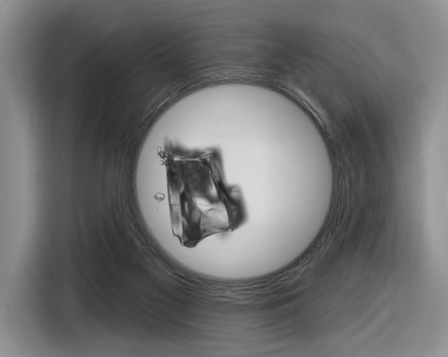 X0000116890117200912221012