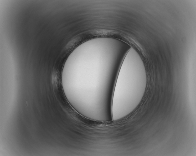 X0000116890119200912221012
