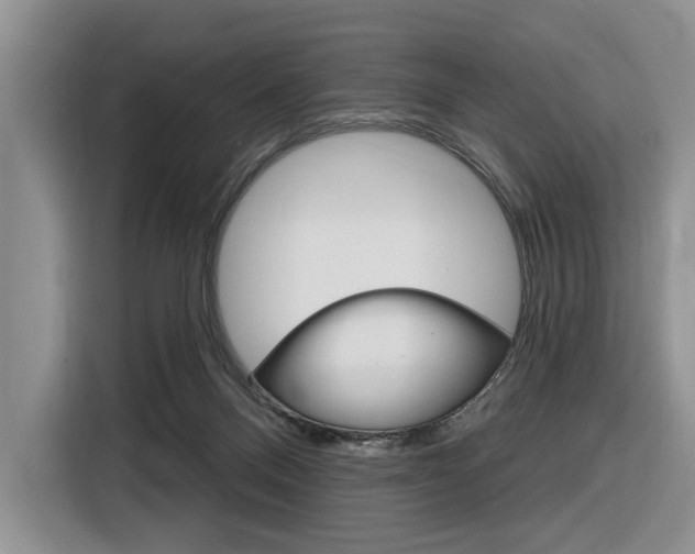 X0000116890120200912221012