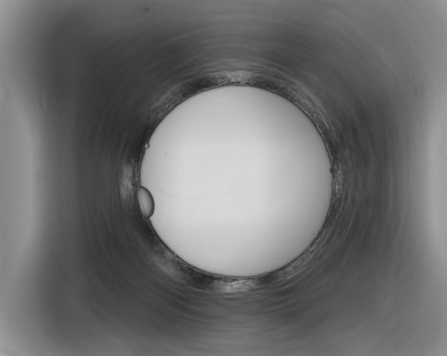X0000116890122200912221012