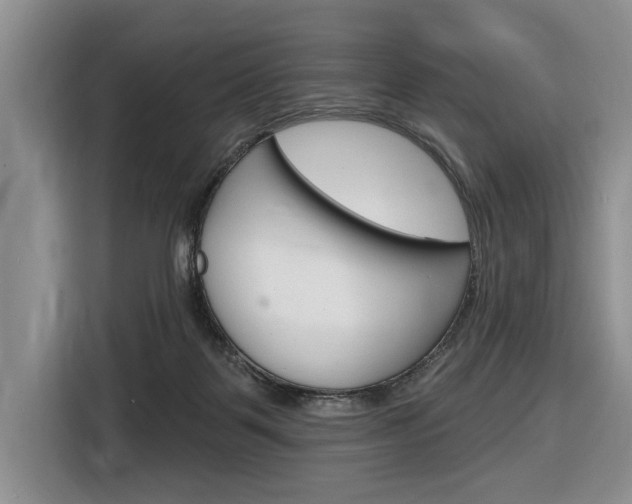 X0000116890123200912221012
