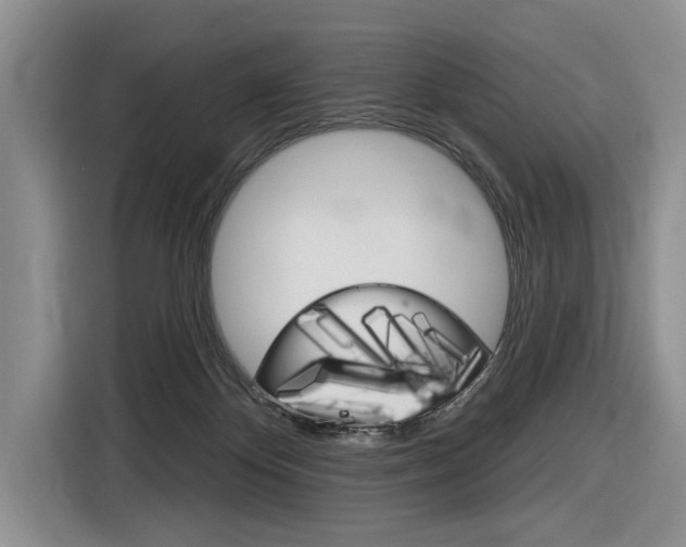X0000116890124200912221012