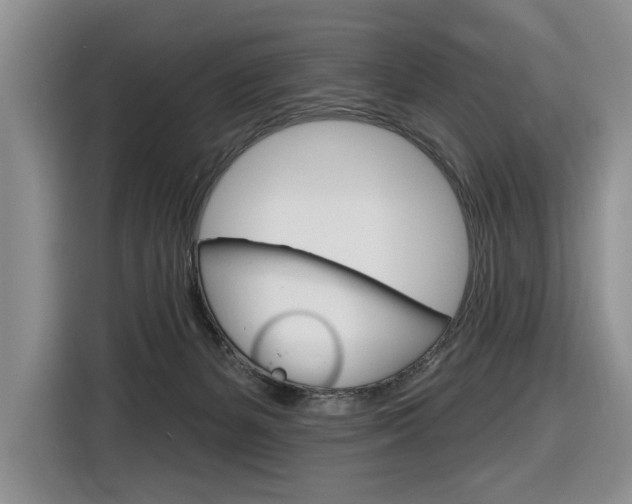 X0000116890127200912221012