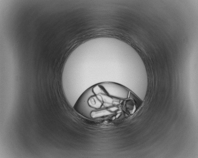 X0000116890128200912221012
