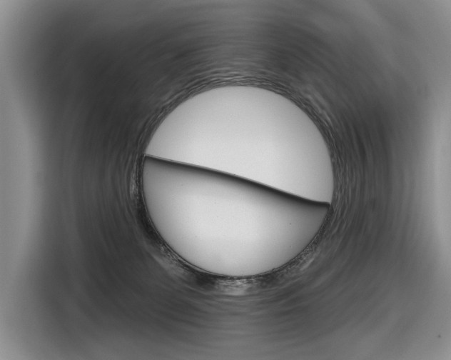 X0000116890131200912221012