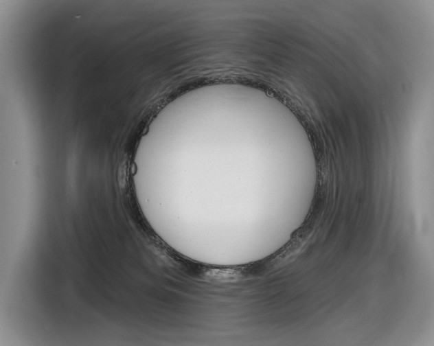 X0000116890133200912221012