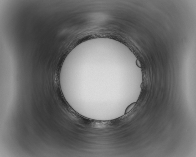 X0000116890134200912221012