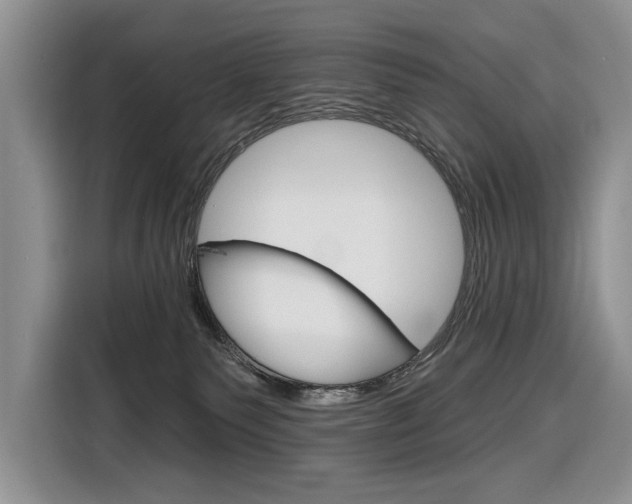 X0000116890135200912221012