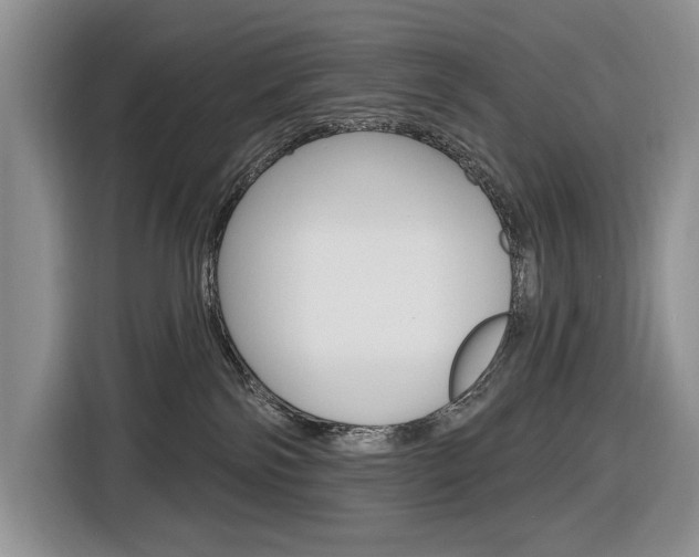 X0000116890138200912221012
