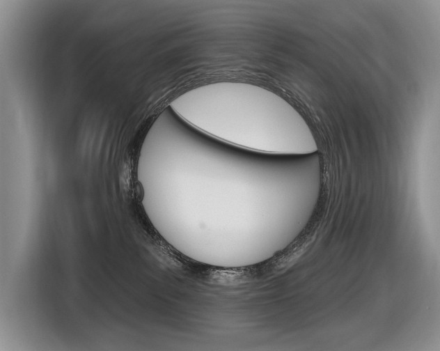X0000116890139200912221012