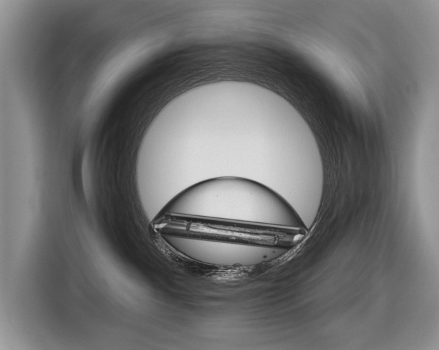 X0000116890140200912221012