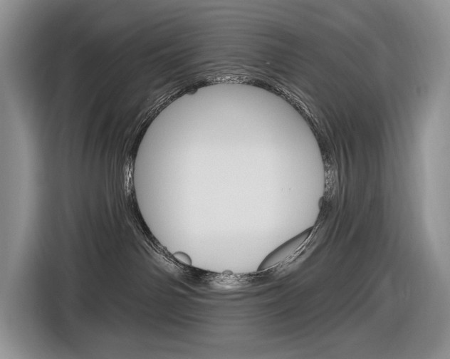 X0000116890142200912221011