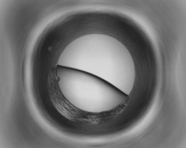 X0000116890143200912221011