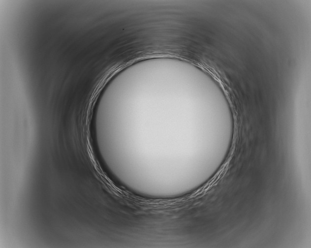 X0000116890145200912221011