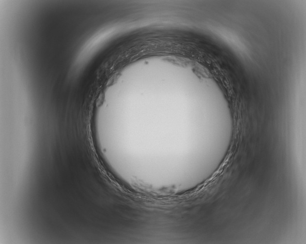 X0000116890146200912221011