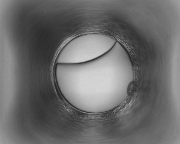 X0000116890147200912221011