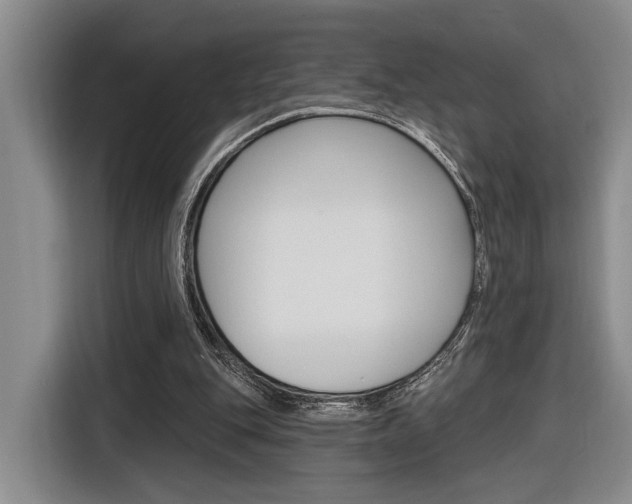 X0000116890151200912221011