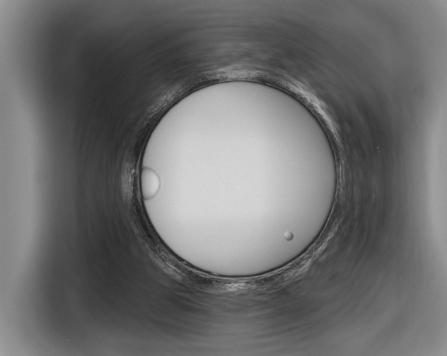X0000116890153200912221011