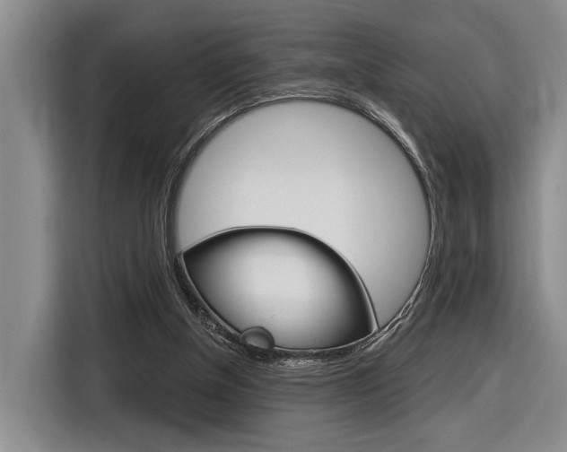 X0000116890154200912221011