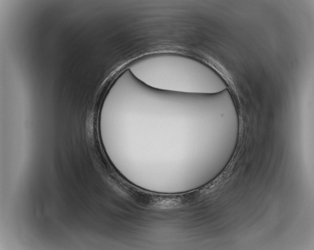 X0000116890155200912221011