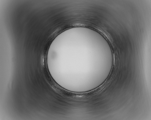 X0000116890157200912221011