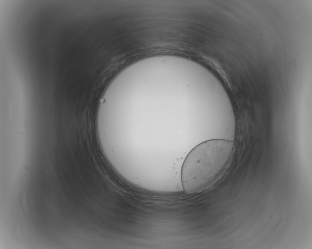 X0000116890162200912221011