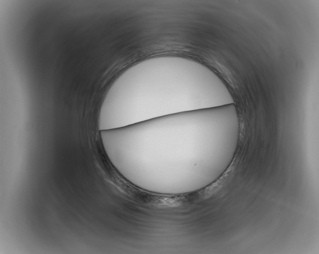 X0000116890166200912221011