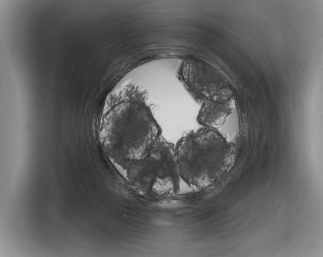 X0000116890169200912221011