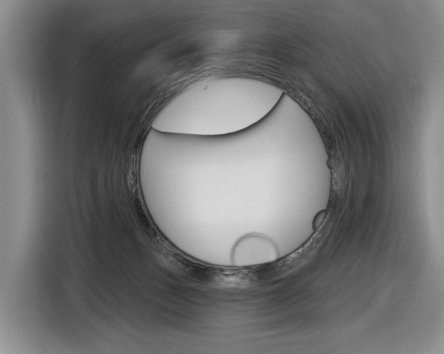 X0000116890175200912221011