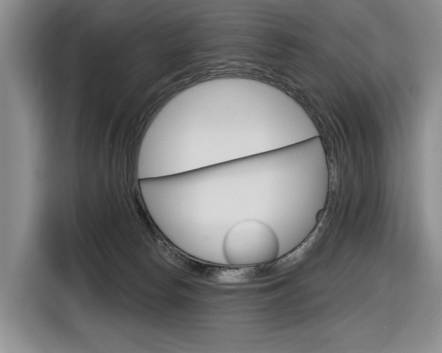 X0000116890178200912221011