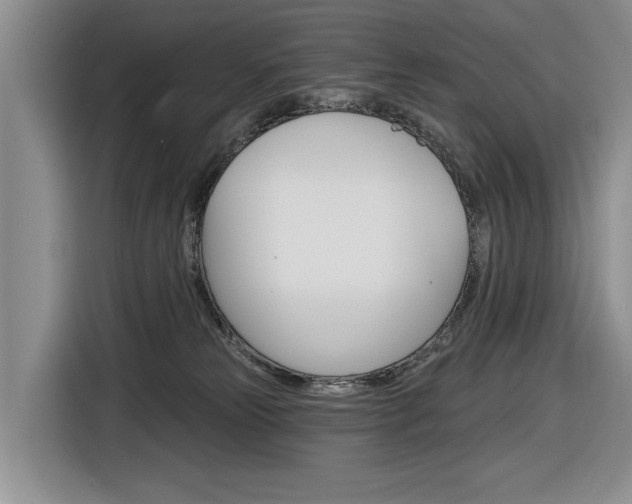 X0000116890181200912221011