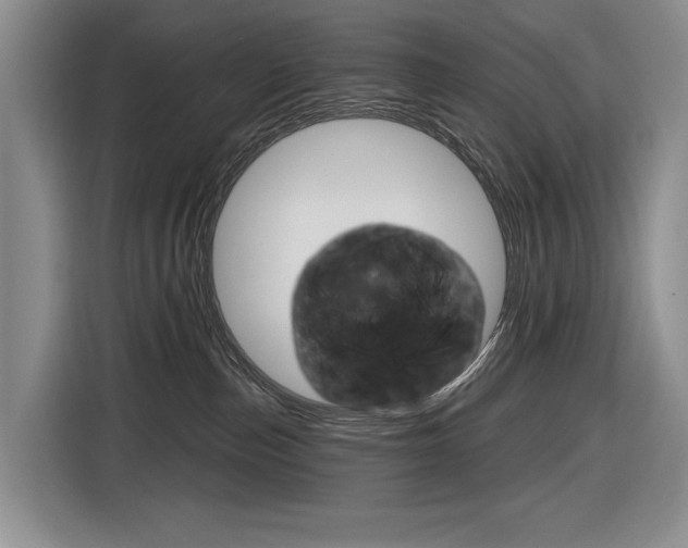 X0000116890187200912221011